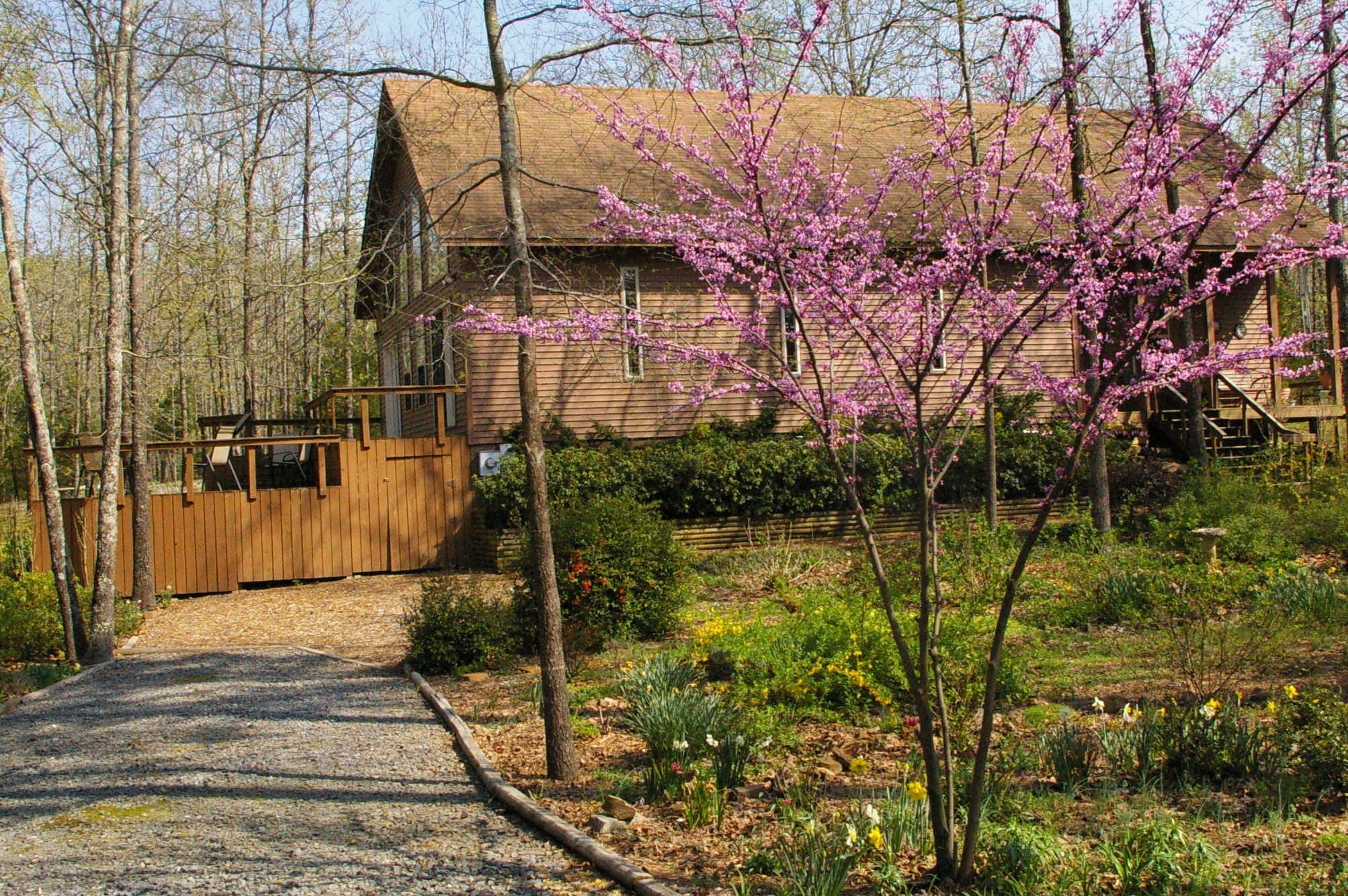 Cedar Rock Yoga Studio